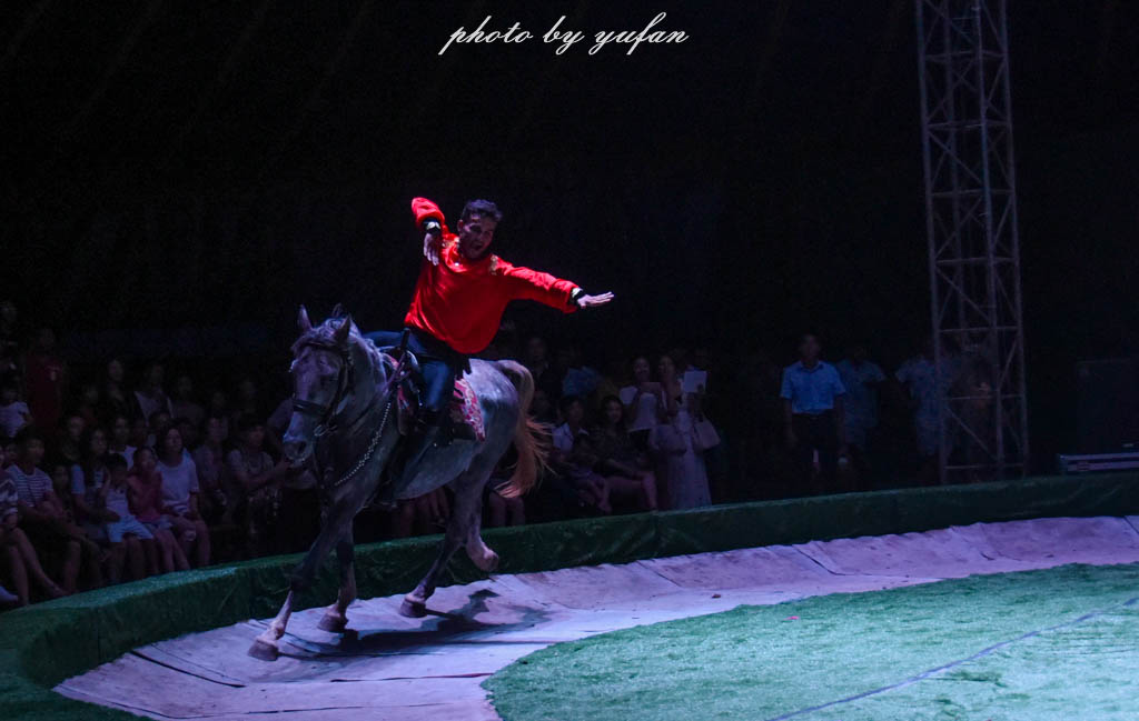 皇家大马戏巴伐利亚,广东哪里有大马戏