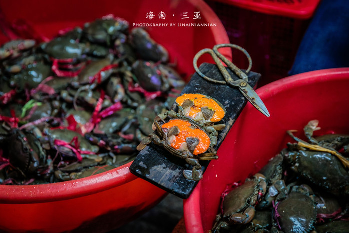 亲子游三亚旅行攻略,三亚北纬十八度亲子游