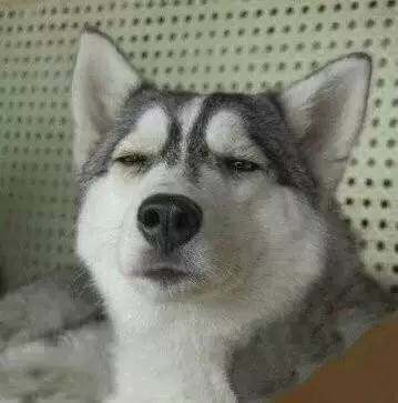 友情之间的话题,考验闺蜜间的感情小问题