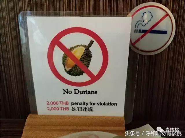 呼和浩特飞普吉岛,刷我滴卡泰国原版