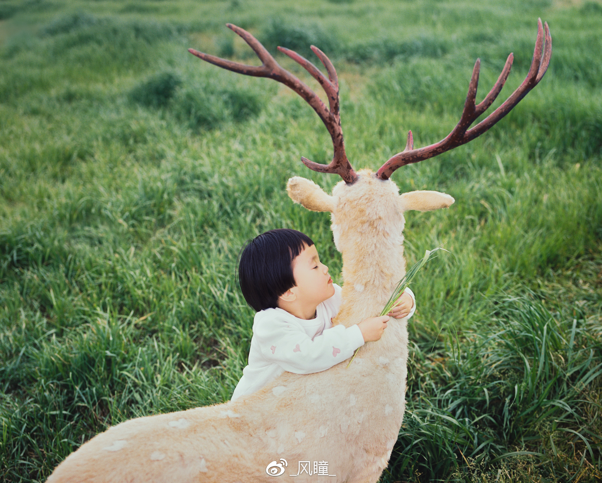 宾得67镜头在全幅上的表现,自带200mm镜头的数码相机