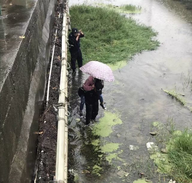 “地域黑”博主向河南道歉,“地域黑”向河南公开道歉