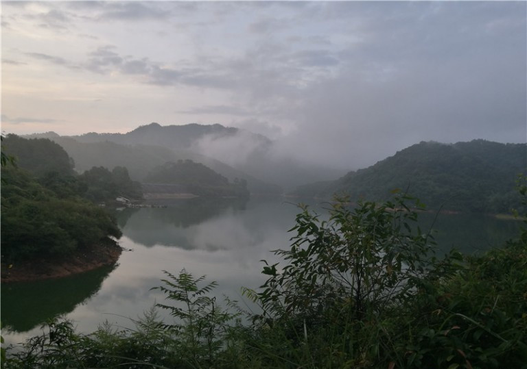 广西玉林钓土鲮鱼钓法,玉林钓土鲮的方法