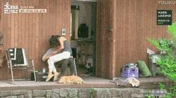 女人养男人会幸福吗,女人养男人好不好