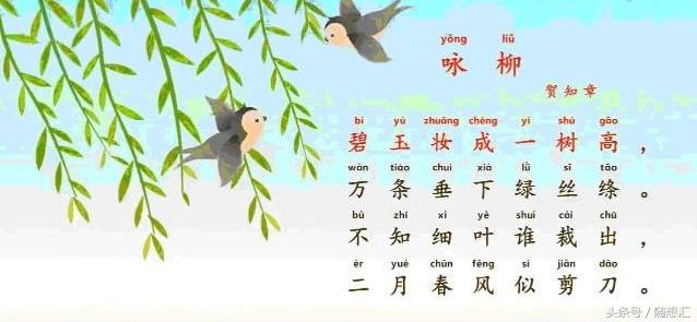 唐诗咏柳贺知章古诗讲解,咏柳贺知章中学生必背古诗
