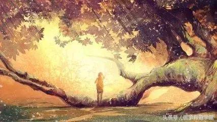 我的中医心路历程,中医好文分享