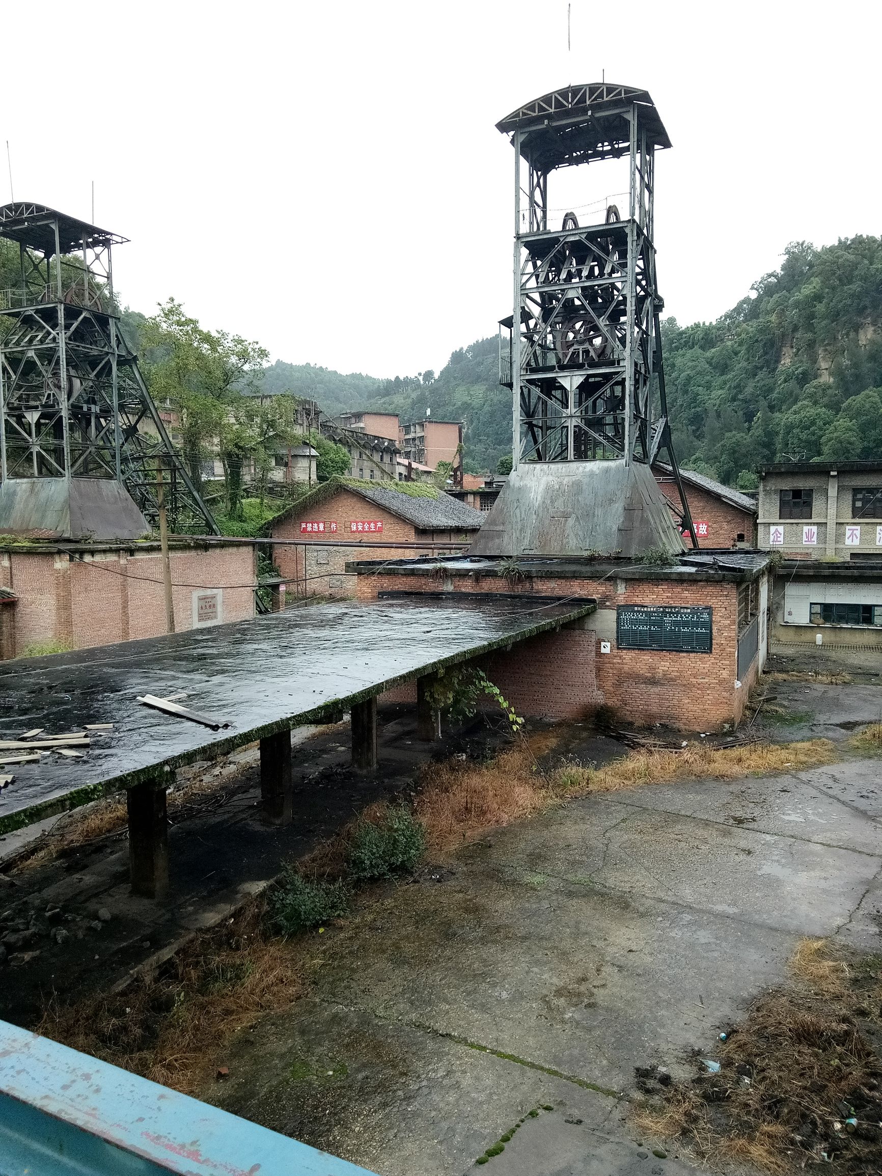 藏在深山里的文物,藏在深山里的老茶