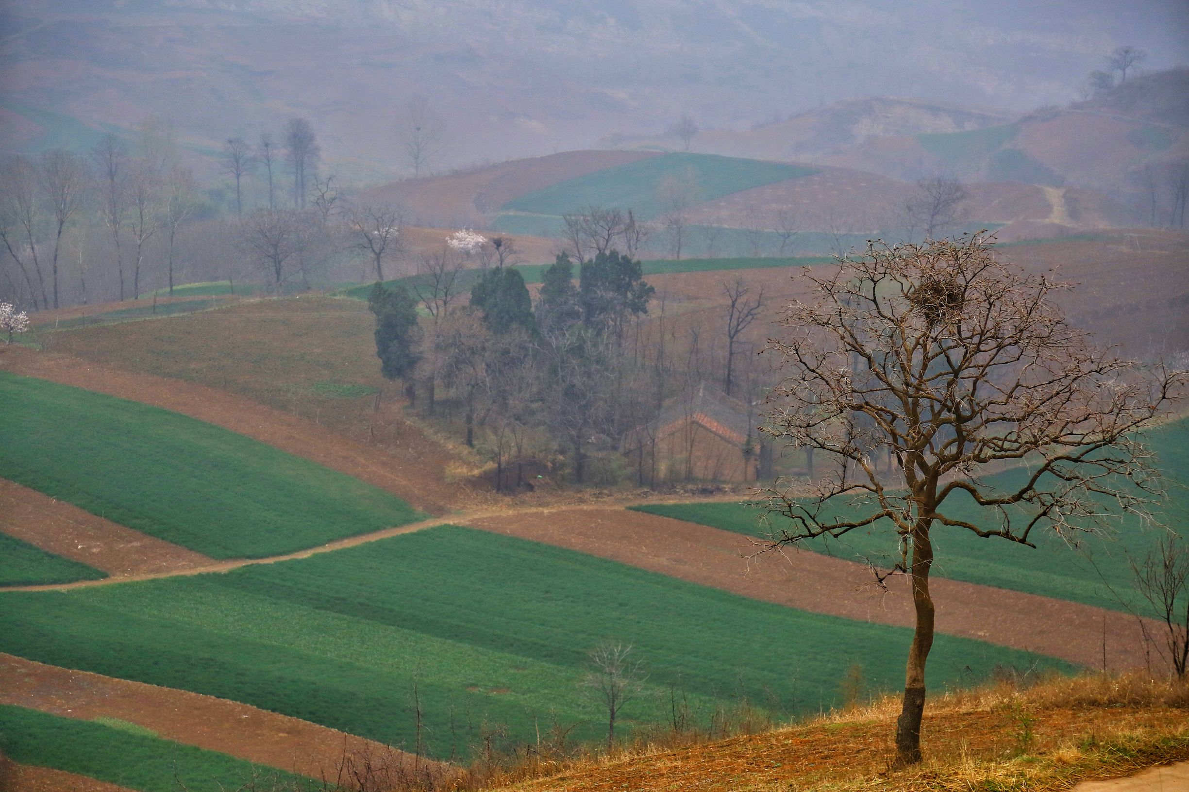 聚焦陕西蓝田泄湖镇,蓝田县洩湖镇发展规划