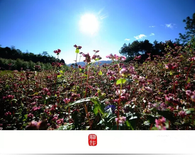 云南临沧美景图片,云南临沧旅行风景