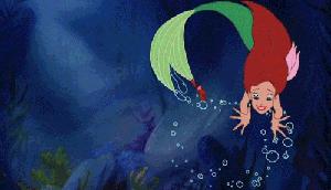 合肥好吃的鱼排行榜,合肥最好吃的餐厅排行榜