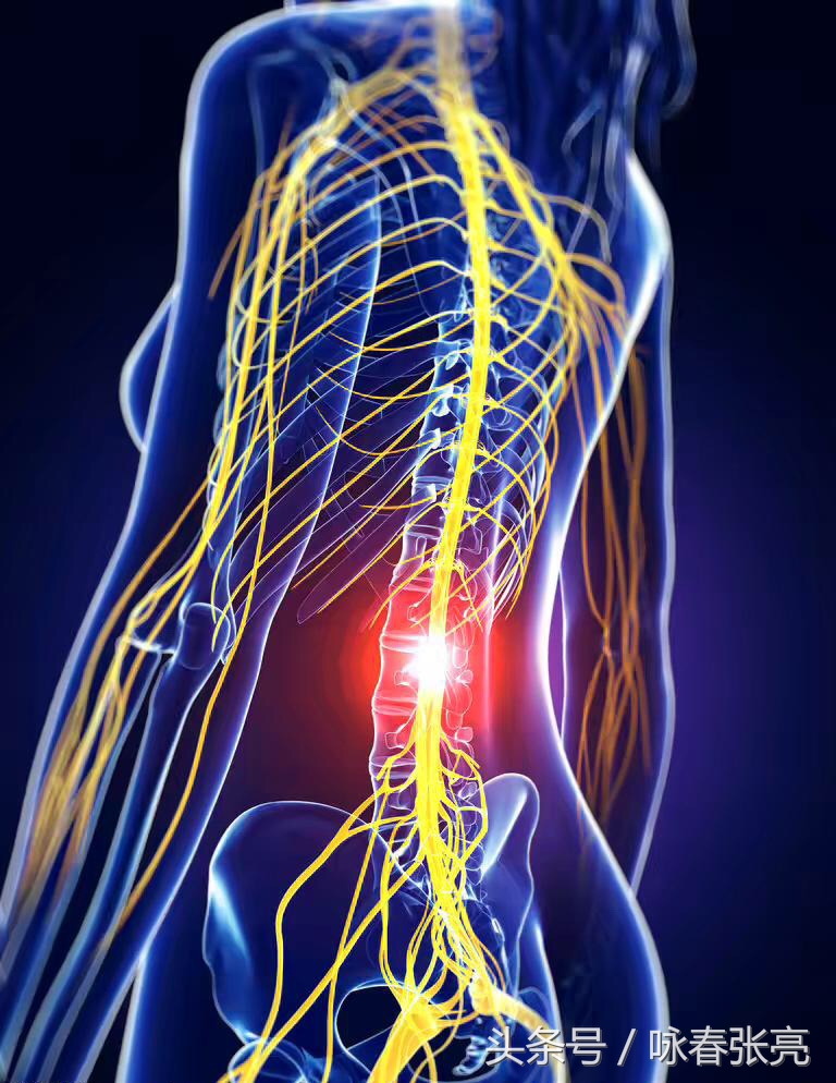 咏春拳十大杀招图解,咏春拳击打颈部招数