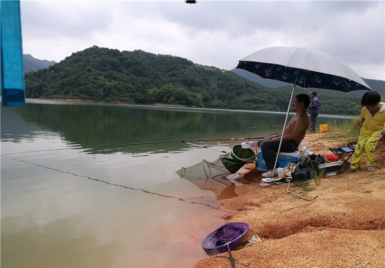 广西玉林钓土鲮鱼钓法,玉林钓土鲮的方法