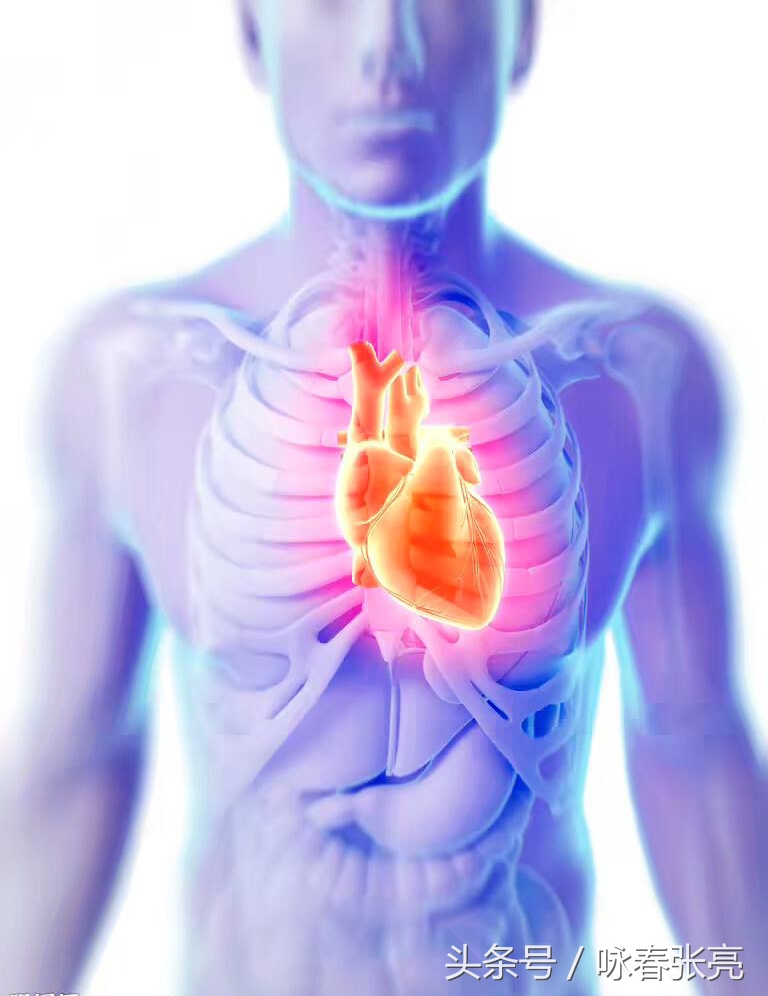 咏春拳十大杀招图解,咏春拳击打颈部招数