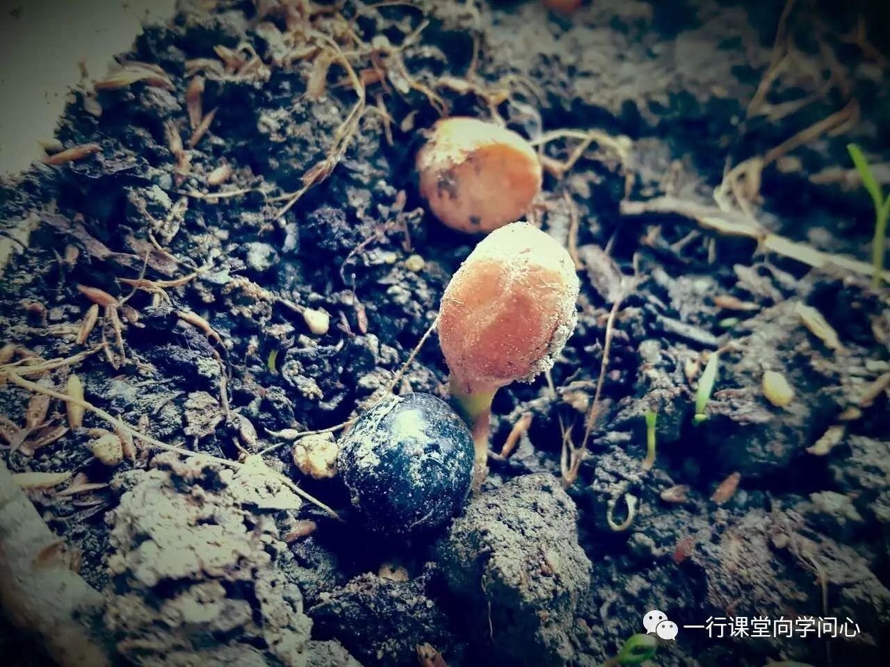 课堂重点知识归纳,课堂常用文学常识