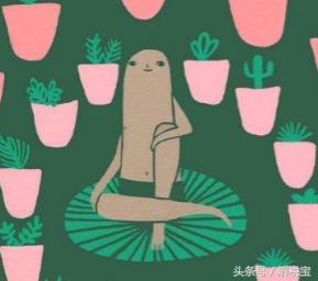 个体户查账征收应纳税额计算公式,核定征收转为查账征收所得税计算