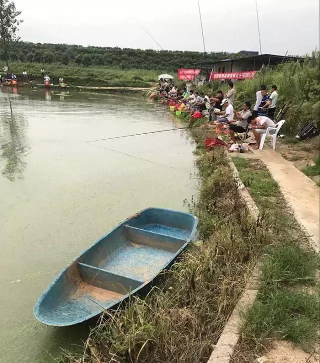 汝南钓鱼大赛,行营钓鱼比赛现场直播