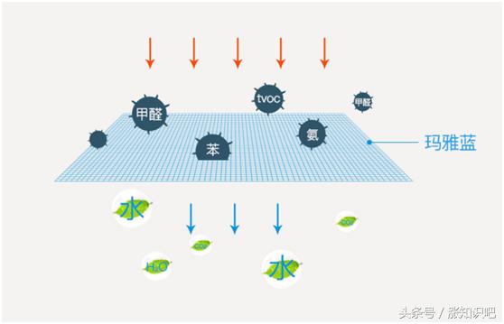 每天吸收一个小时甲醛,冬天每天开空调8小时去甲醛