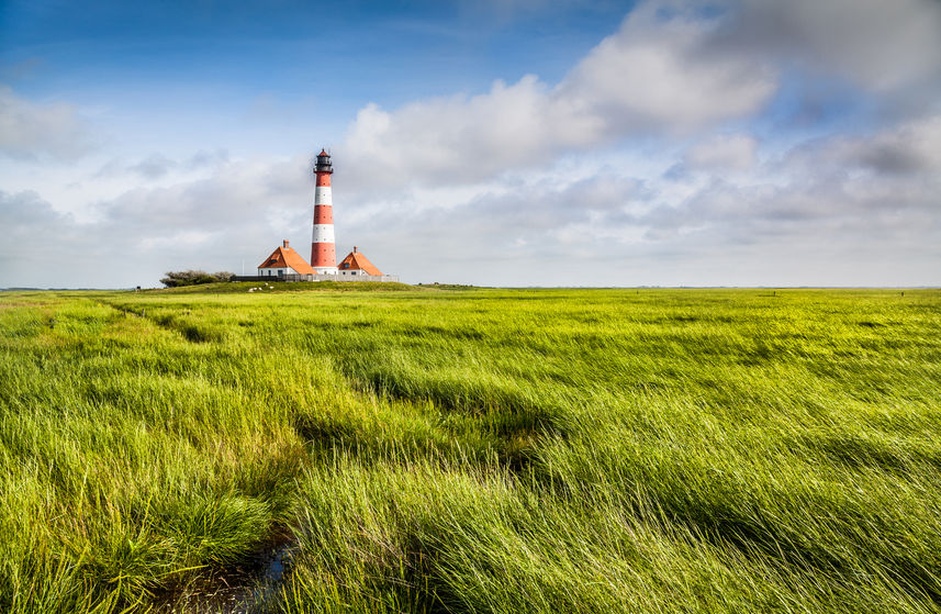 长假归来8招教你打败假期综合症,如何缓解假期综合症快速回归工作