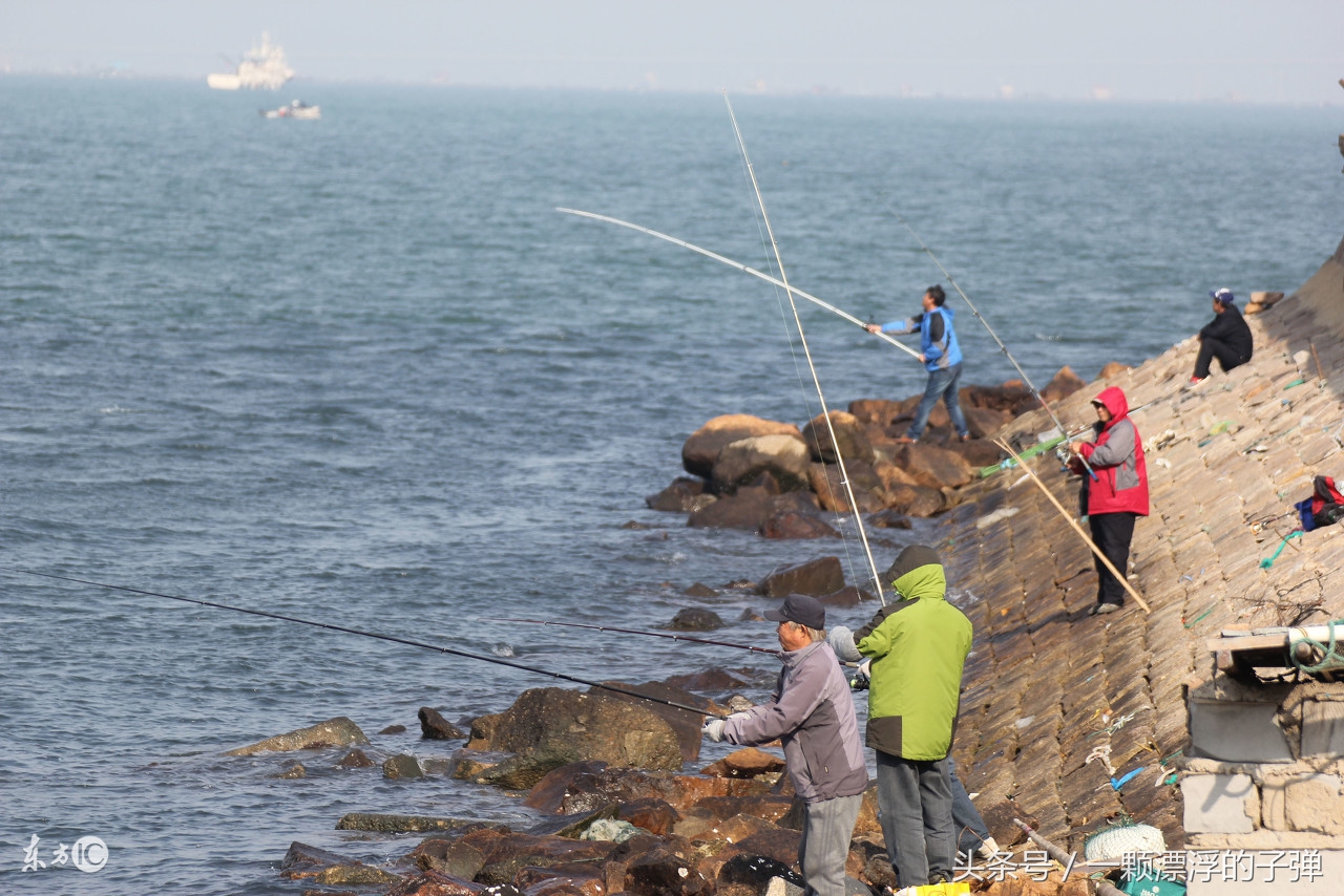 海洋矶钓怎么钓的,海洋矶钓用什么竿