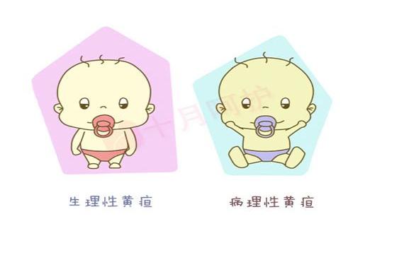 宝宝出现黄疸怎么办？让我来告诉你怎么自我治疗