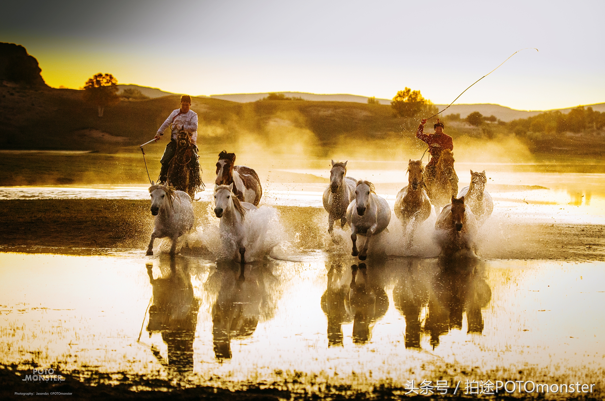 坝上草原奔马摄影作品,坝上草原拍奔马