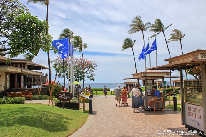 夏威夷旅游及购物攻略视频讲解,夏威夷购物必去十大地点