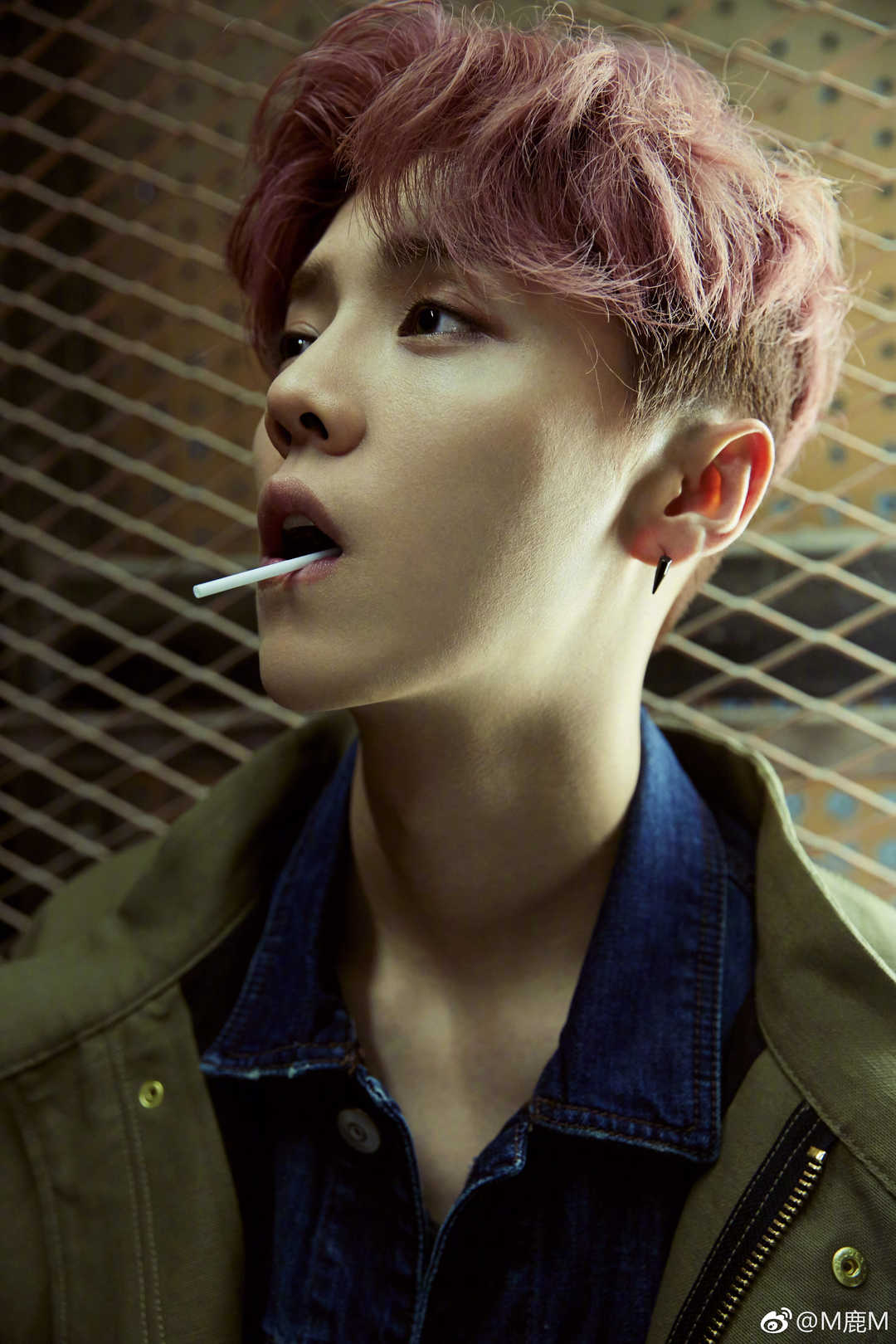 你是从什么时候喜欢鹿晗的,喜欢鹿晗的人都是什么样的人