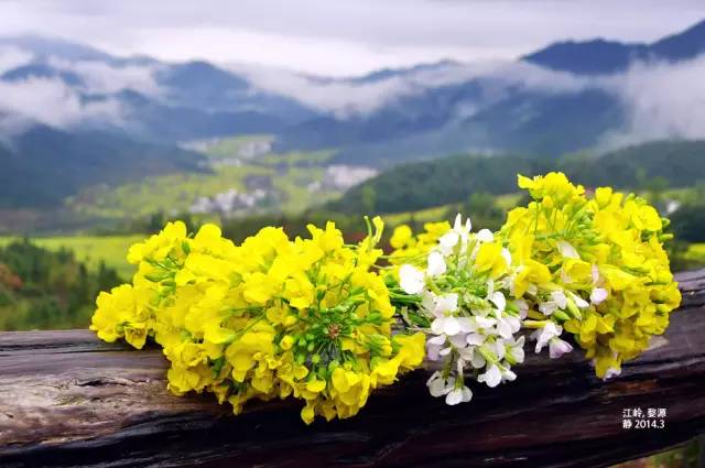 清明小长假出游提醒 (清明小长假微信消息)