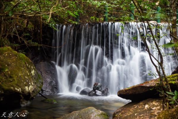 漫游武夷山之自驾游,漫游武夷记