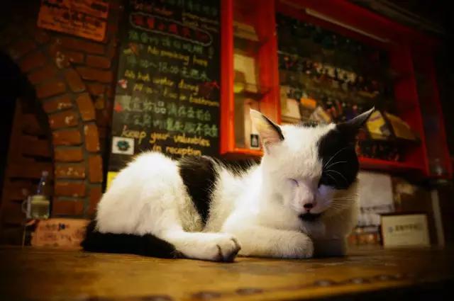 武汉青年旅社哪家最实惠,武汉汉口青年旅社