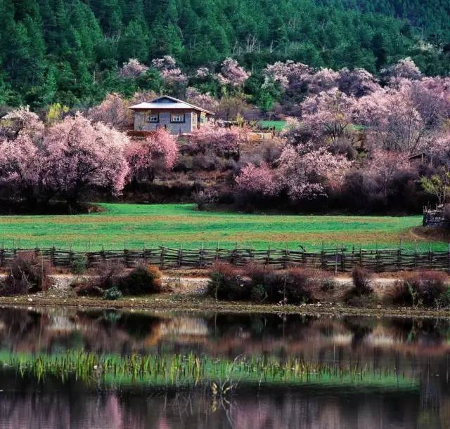 清明小长假出游提醒 (清明小长假微信消息)