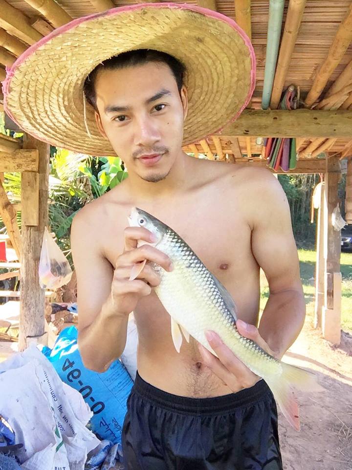 论高鼻梁的重要性,男人高鼻梁重要性