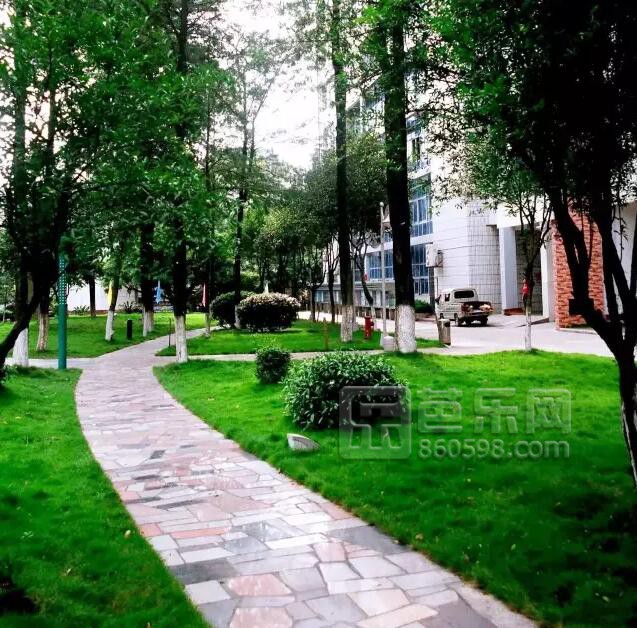 三明二中学校排名,福建三明二中2023届有几个考上985