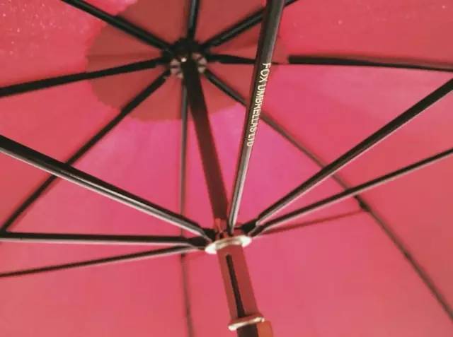 比宋仲基还撩妹的---FoxUmbrellas