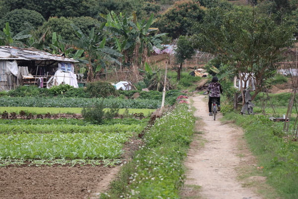 佳能eos1dxmarkiii,佳能eos77d相机使用效果怎么样