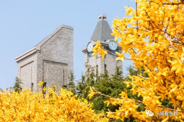 大连东软是本科学校吗,大连东软都有什么院系