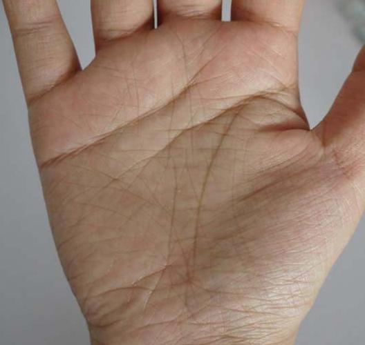 来，贫道解析手纹很乱所代表的含义，并为你化解