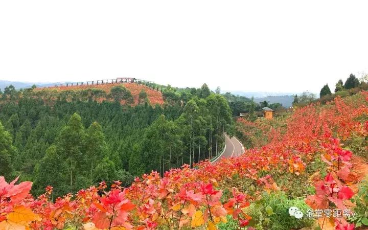 不想上班就去看看大城市,不想上班想去看山和海