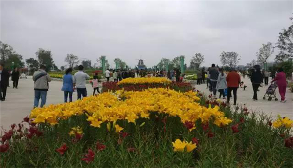 十一黄金周回顾视频,十一黄金周全集视频