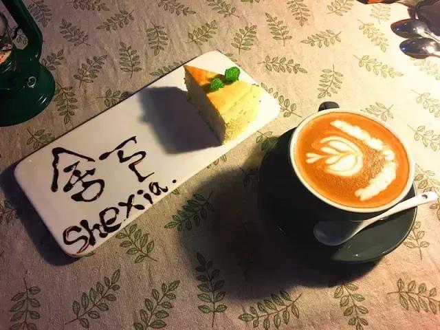 小洲玩点啥,小洲去哪玩了