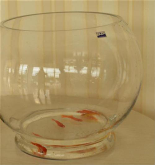 净味的乳胶漆可靠吗,乳胶漆净味排行榜