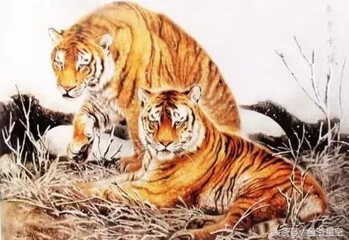 十个生肖哪个生肖天生是富贵命,上等富贵命的三大生肖女