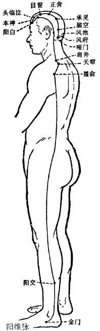 道家打坐十二步秘功功法详解第三步开通奇经八脉