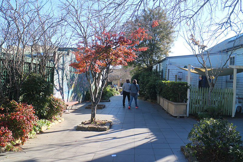 悉尼蓝山景点怎么样啊,悉尼蓝山一日游跟团