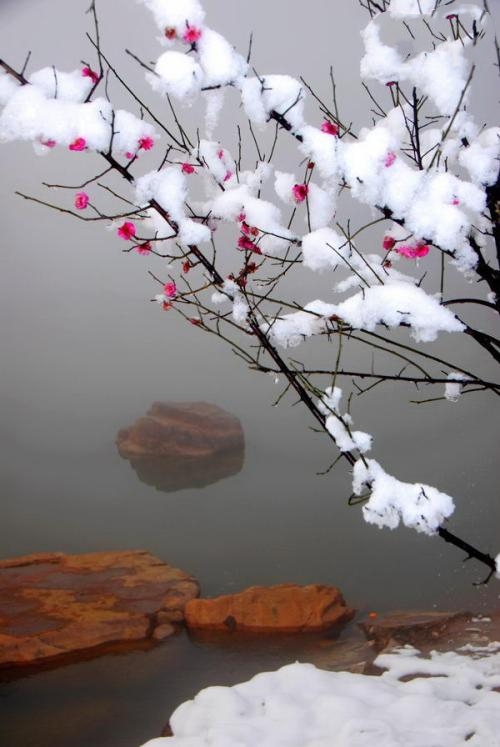 十劝世人大实话完整版,十劝世人大实话