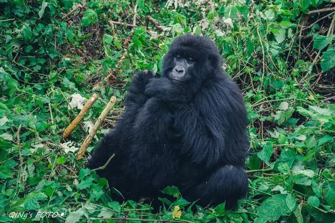 750块钱可以干什么,750块钱能干什么