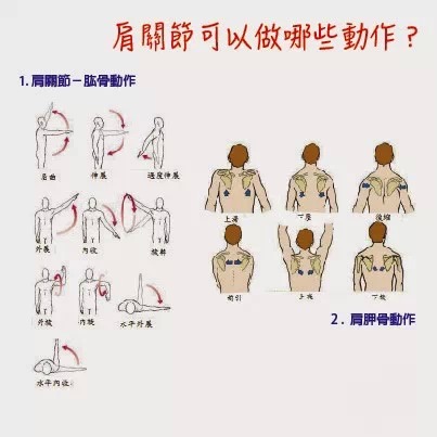 排球运动员如何保护肩关节,排球运动容易出现肩袖肌群损伤