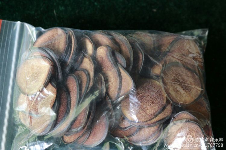 旅游、度假、休闲娱乐为一体的内蒙古根河市敖鲁古雅旅游度假村