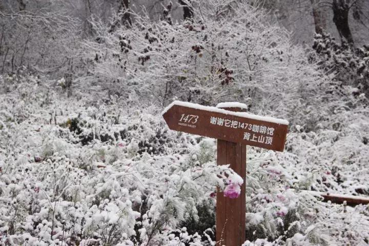 大家好，给大家介绍一下，这是我们昌平小汤山的看家宝！