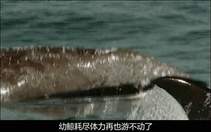 等了17年,等了你十七年